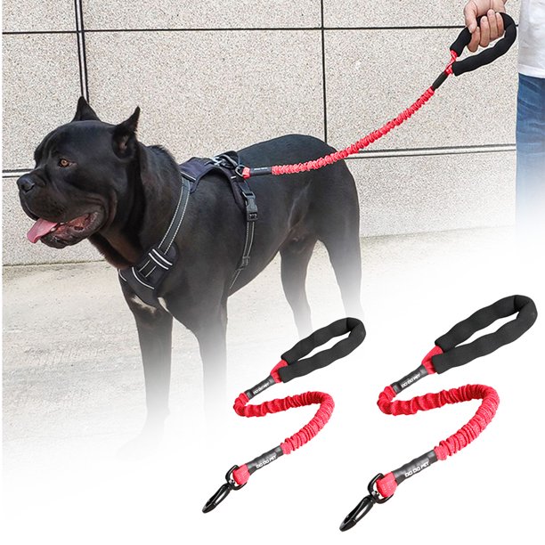 Nylon rope clearance for dogs