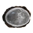 thumbnail image 5 of Toupee for Men Hairpiece Replacement System Male Prosthesis Full Poly Thin Soft Human Hair Piece 8X10 Injected PU Durable Skin Mens Wig #1B off Black, 5 of 7