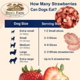 thumbnail image 6 of Bern's Farm Freeze-Dried (2.0oz) Raw Treats Featuring Duck, Strawberries & Bananas Provide Delicious, Nutrient-Dense Snack for Both Dogs and Cats., 6 of 9