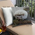 thumbnail image 1 of Ahgly Company Animals Hedgehog Outdoor Throw Pillow, 18 inch by 18 inch, 1 of 6
