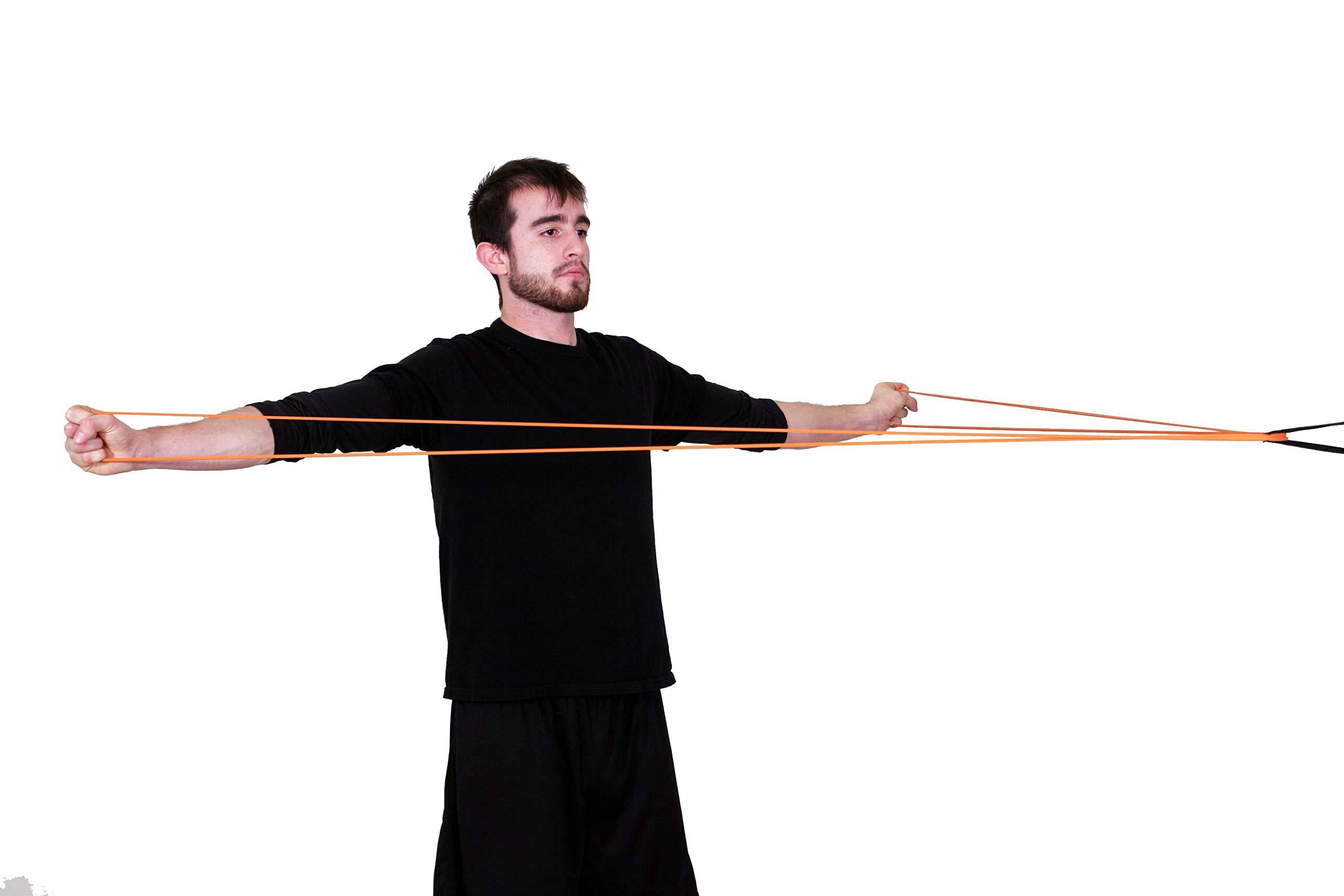 Functional Fitness Bands - Resistance and Workout Bands, Pull Up Assistance & Exercise Bands
