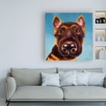 thumbnail image 3 of Trademark Fine Art 'Follow Your Nose 1' Canvas Art by Lucia Hefferna, 3 of 3