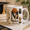 Black, variant on Basketball Mug Personalized Athlete Gift for Player Graduation, Custom Name Coffee Cup