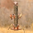 thumbnail image 4 of Perky-Pet 2-in-1 Wild Bird Feeder, 4 of 9