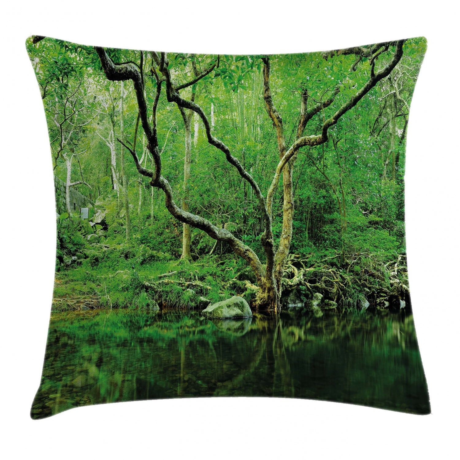 Green Decor Throw Pillow Cushion Cover, Forest Moss Leaves Nature