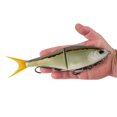 thumbnail image 3 of Berkley PowerBait® Chop Block, 10 in, Golden Shiner, 3 of 4
