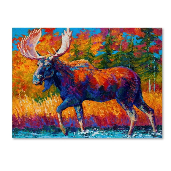 Trademark Fine Art 'Moose Encounter' Canvas Art by Marion Rose