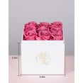 thumbnail image 3 of 9pcs Preservd Rose in Acrylic Box Eternal Flower That Lasts 4 Years Gifts for Girlfriend Wife Mom Women Valentines Day Anniversary Birthday Mothers Day(Sky Blue), 3 of 5