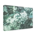 thumbnail image 2 of Eva Bane 'Breathless Nature 01' Canvas Art, 2 of 3