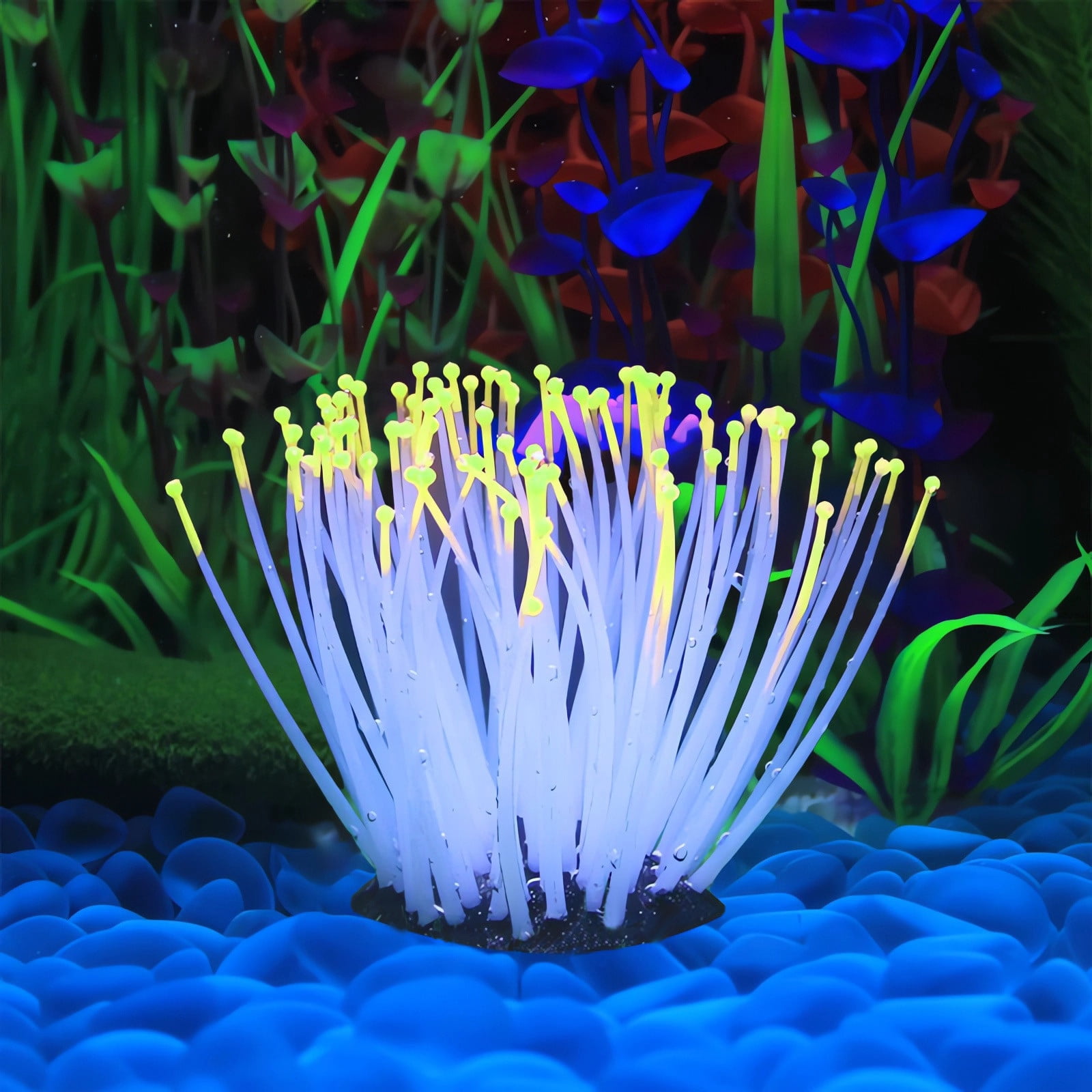 Kadlawus Luminous Anemone for Aquarium, Glowing Silicone Fish Tank Decoration, Simulation Coral Reef Scenery for Saltwater and Freshwater Tanks