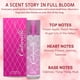 thumbnail image 3 of Perfume para mujer Sandora Fragrances - Inspirado en un perfume femenino de renombre mundial - Afrutado, floral blanco, fresco - Manzana helada, néctar de melocotón, jazmín, almizcle - Larga duración, 3 of 5