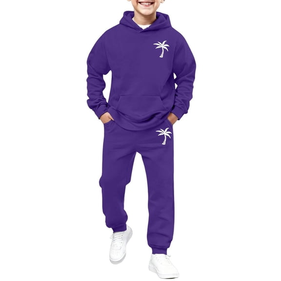 Boys Outfit Sets Stylish Print Playwear Boys Summer Clothes,Purple,160