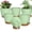 Green, variant on 5PCS Plant Pots Set,7/6.5/6/5.5/5 Inch Self Watering Planters with Drainage Hole and Saucers,Plastic Flower Pots,Nursery Planting Pot for Indoor Outdoor Plants, Flowers, and Cactus,Green（Green）