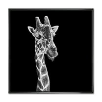 Designart 'Close Up Portrait Of A Giraffe On Black II' Farmhouse Framed Canvas Wall Art Print