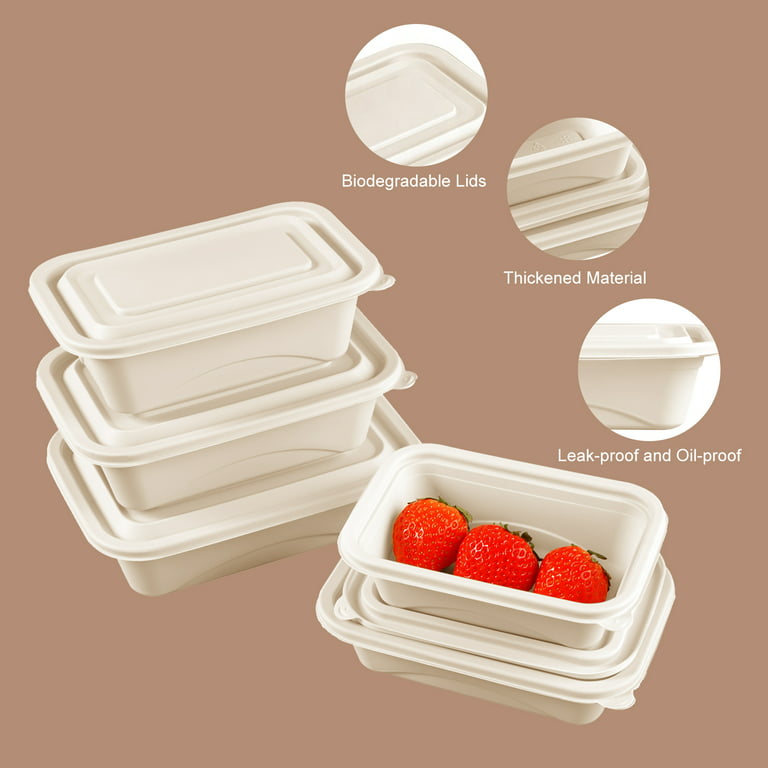 17oz Insulated Food Containers - FIFTY/FIFTY®– FIFTY/FIFTY Bottles