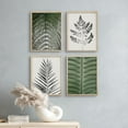 thumbnail image 3 of PixonSign Framed Wall Art Green Forest Fern Tree Leaf Prints, Set of 4 Plant Landscape Wall Decor Arts, Nature Floral Wall Décor, Adhesive Canvas Poster, Modern Home Artwork - 8"x10" Natural, 3 of 5