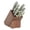 Juniper Green, variant on Sur La Table Kitchen Essentials Tasting Kitchen High-Carbon German Steel 7 Piece Full Tang Forged Cutlery Kitchen Knife Block Set -Juniper Green W/ Ashwood Block