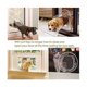 thumbnail image 3 of chatire Pour Animaux De Compagnie Petite Porte Pour Chiens Et Chats Avec 4 Possibilits De Verrouillage Rond, 3 of 5
