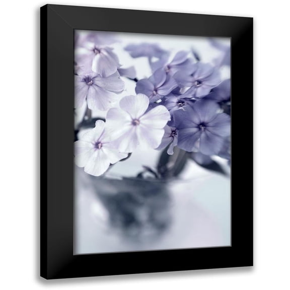 Stalus, Judy 11x14 Black Modern Framed Museum Art Print Titled - Violet Hydrangea