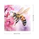thumbnail image 2 of Kit de pintura por números DIY, arte al óleo de abeja y miel, imagen artesanal, decoración del hogar, 40x40cm, 2 of 9