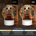 thumbnail image 3 of Sikiie Valley Meditating Guinea Pig Acrylic Night Light Gift Custom Acrylic Night Light LED Lights for Bedroom Home Office, 3 of 9