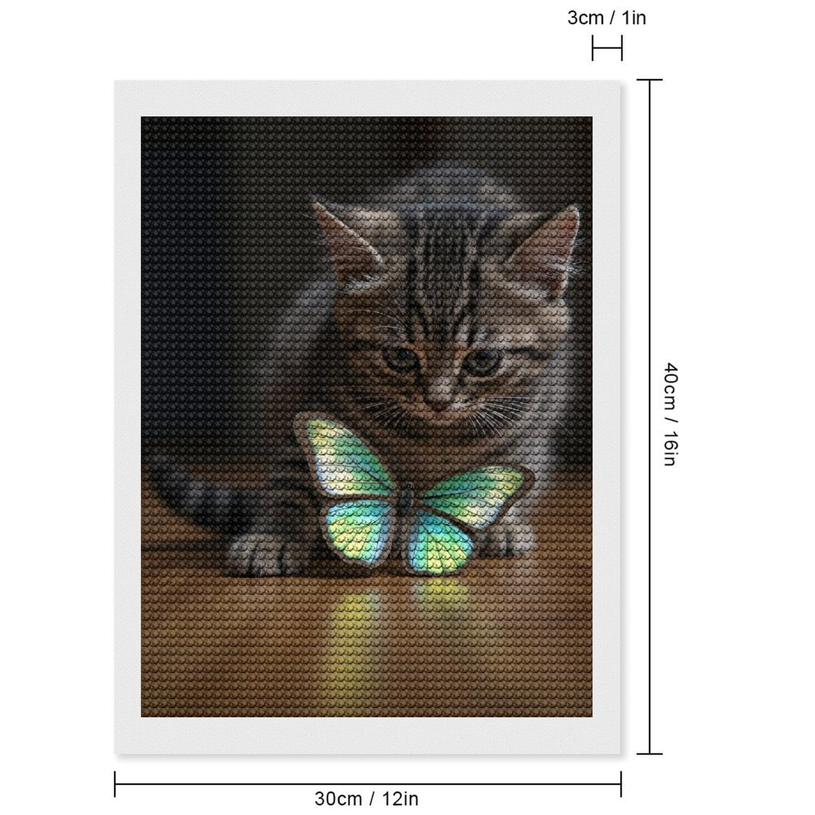 Diamond Art Kits for Adults, Young Cat Curious Blue Butterfly 5D Diamond Painting Kits for Adults Beginners, DIY Full Drill Diamond Painting, Gem Art and Crafts 12x16