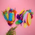 thumbnail image 4 of Clearance Office&Craft&Stationery under $5 100PCS Colored Feathers DIY Material Paste Decoration Children Kindergarten Handicrafts Handmade Art, 4 of 5