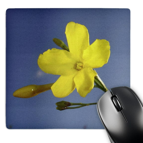 3dRose, Yellow Jessamine - carolina jasmine, evening trumpetflower, flower, flowers, gelsemium sempervirens, MousePad