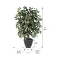 thumbnail image 2 of Vickerman 4' Artificial Capensia Bush, Gray Round Plastic Container., 2 of 2