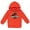 Red, variant on Jurassic Park Big Boys Fleece Pullover Hoodie Toddler to Big Kid