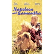 1PK Westminster Pet Ruffin' it Reversible 20 In. to 24 In. Nylon Dog Collar