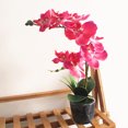 thumbnail image 3 of Cheers Artificial Phalaenopsis Flower Fake Plant Bonsai Home Office Shop Cafe Decor, 3 of 7