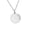 Steel color, variant on Pet Cremation Jewelry Pet Memorial Urn Pendants Necklace for Dog Cats Ashes