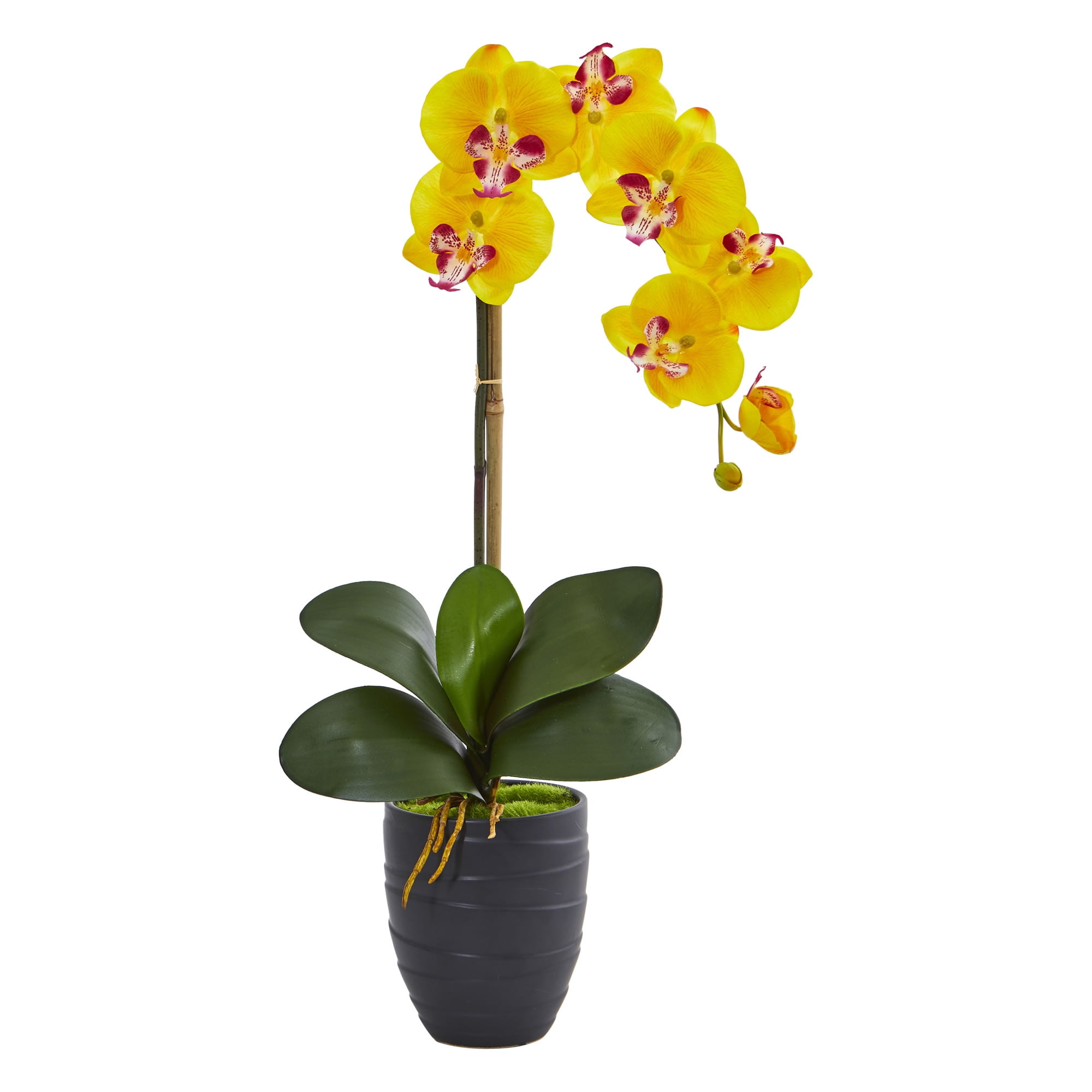 Nearly Natural Phalaenopsis Orchid Artificial Arrangement in Ceramic