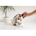 thumbnail image 6 of Suck UK | Skull Jewelry Organizer| Gothic Trinket Box | Skull Jewelry Organizer | Vanity Tray | White, 6 of 7