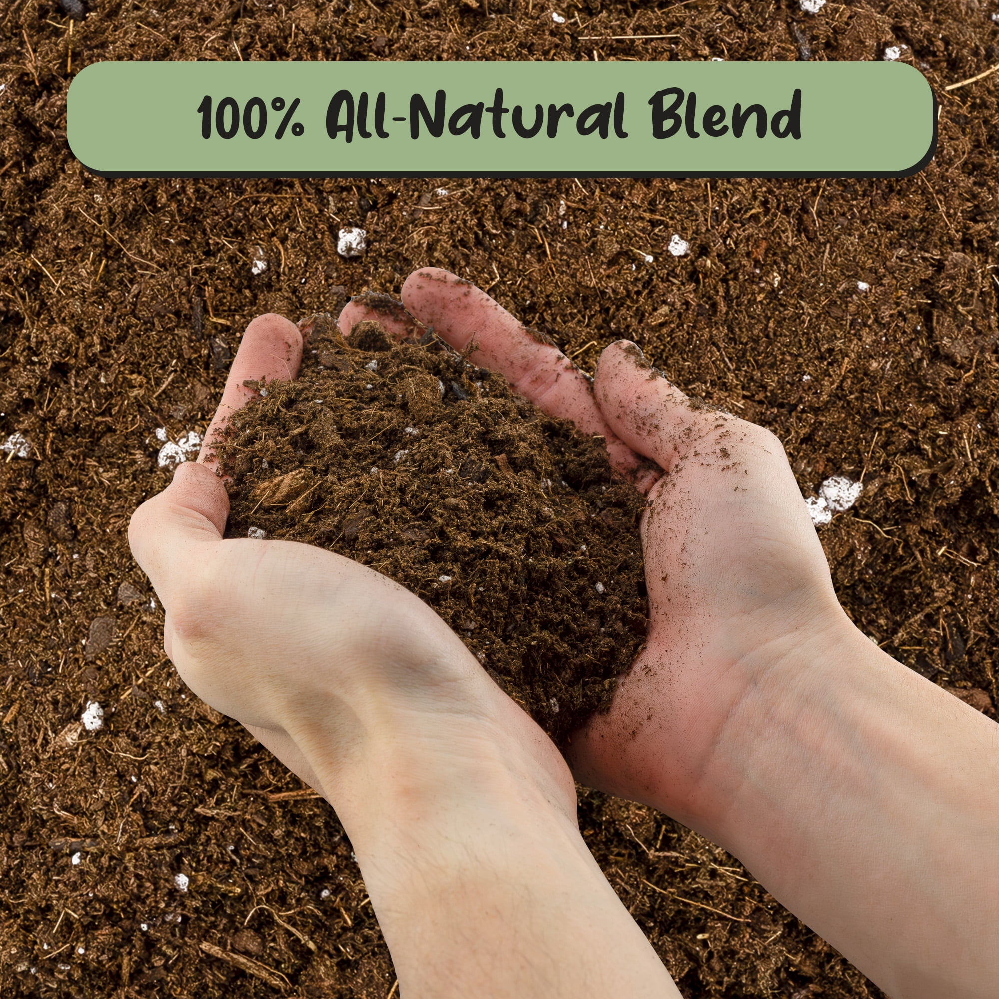 Monstera Houseplant Potting Soil Mix (12 Quarts), Custom Blend for Growing and Repotting