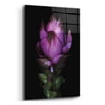 thumbnail image 2 of Epic Art 'Siam Tulip' by Elise Catterall, Acrylic Glass Wall Art, 16"x24", 2 of 8