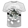 thumbnail image 1 of Encantadora linda camiseta de gato, ropa para niños, camisetas de manga corta de verano para niñas, camisetas para niños, ropa de gato, camisetas para adolescentes, camisetas de gato 7T Gao Jinjia LED, 1 of 2
