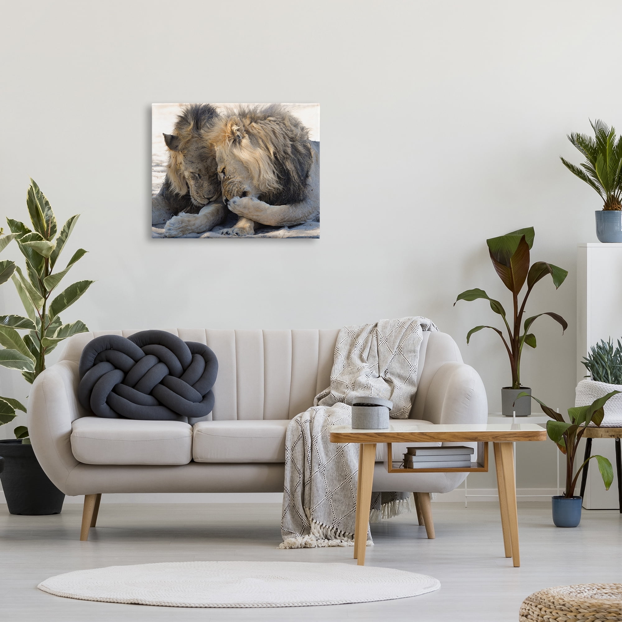 Stupell Industries Wildlife Gossip Lions Animals & Insects Photography Gallery Wrapped Canvas Art Print Wall Art, 30 x 24