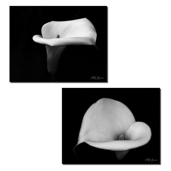 Classic Black and White Calla Lily Adult Floral Set; 2 - 10" x 8" Unframed Posters