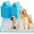 thumbnail image 1 of Almohadillas de entrenamiento para mascotas SUGUNING, 60 unidades, extra grandes, 32 x 36 pulgadas, 1 of 7