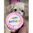 thumbnail image 5 of DEZICAKES Lot of 6  Crispy Vanilla Pink Dog Birthday Cakes- Edible Puppy Party Crispy Vanilla Rice Cakes-  Boxed, Iced and Decorated, 5 of 11
