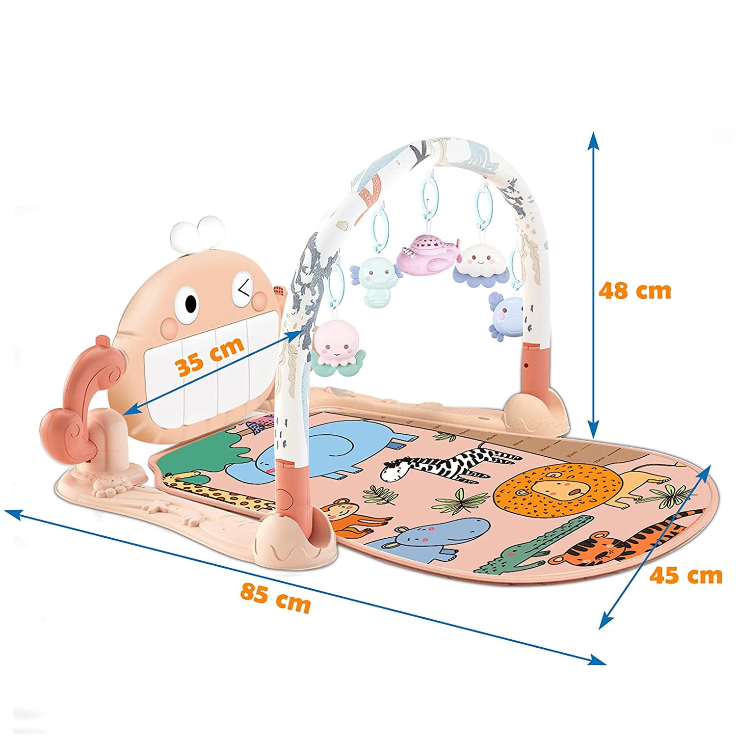Hengswere Baby Piano Playmat Baby Activity Gym Mat with 5 Infant Learning Sensory Toys for Newborn 0 to 3 6 9 12 Months