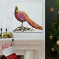 thumbnail image 5 of Golden Pheasant Splendor - Canvas, 5 of 10