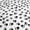 Big Paws, variant on Poly-Cotton Animal Paw Prints Fabric 58" Wide by 360"(10-Yards) for Arts, Crafts, & Sewing