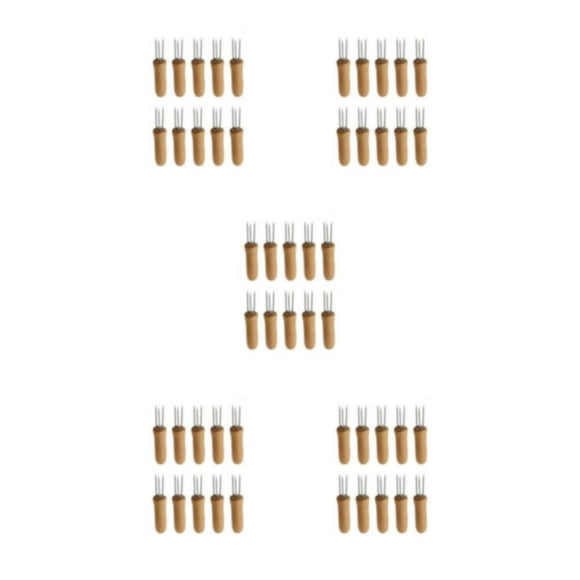 fastboy 10 Pcs/Ensemble Brochettes de Maître pour Grille Intérieure Unleash Poignée en Bois Acier Inoxydable 5Ensemble