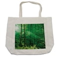 thumbnail image 1 of Forest Shopping Bag, Sun Rays Bursting into the Forest Trees Foliage Misty Morning Serenity Picture, Eco-Friendly Reusable Bag for Groceries Beach and More, 15.5" X 14.5", Cream, by Ambesonne, 1 of 2
