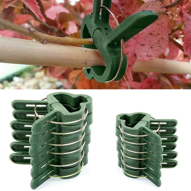 100 Pcs Plant Clips Reusable Tomato Ties for Fixing Climbing Plants S