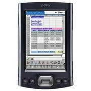 Palm TX