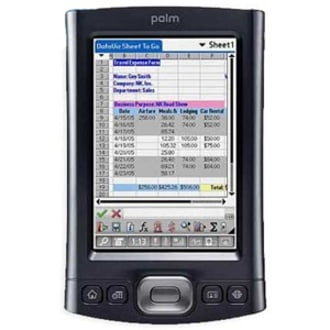 Palm TX